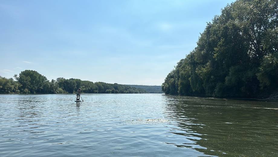 Wide water view with tree-lined banks and sailboat