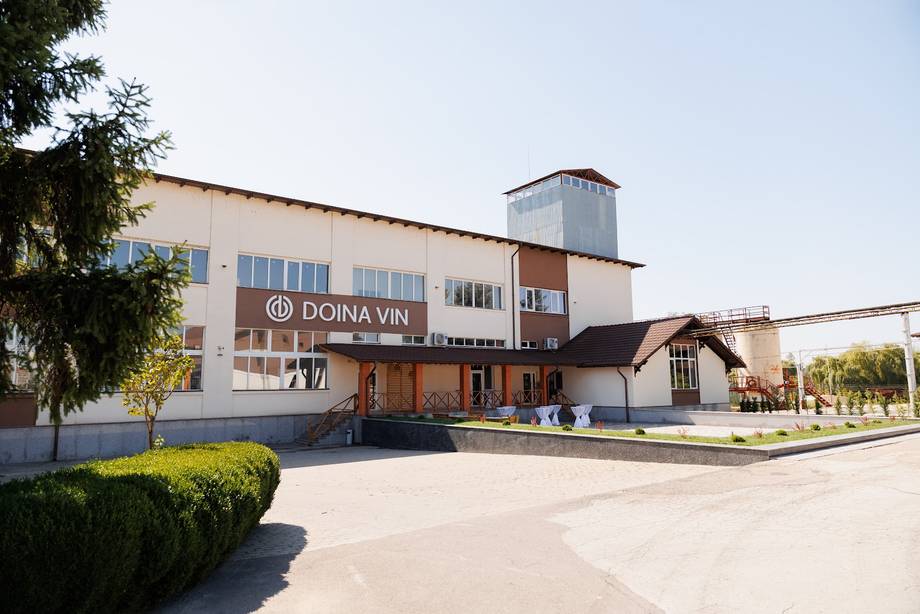 Doina Vin Winery - Boutique wineries in Răzeni (photo 3)