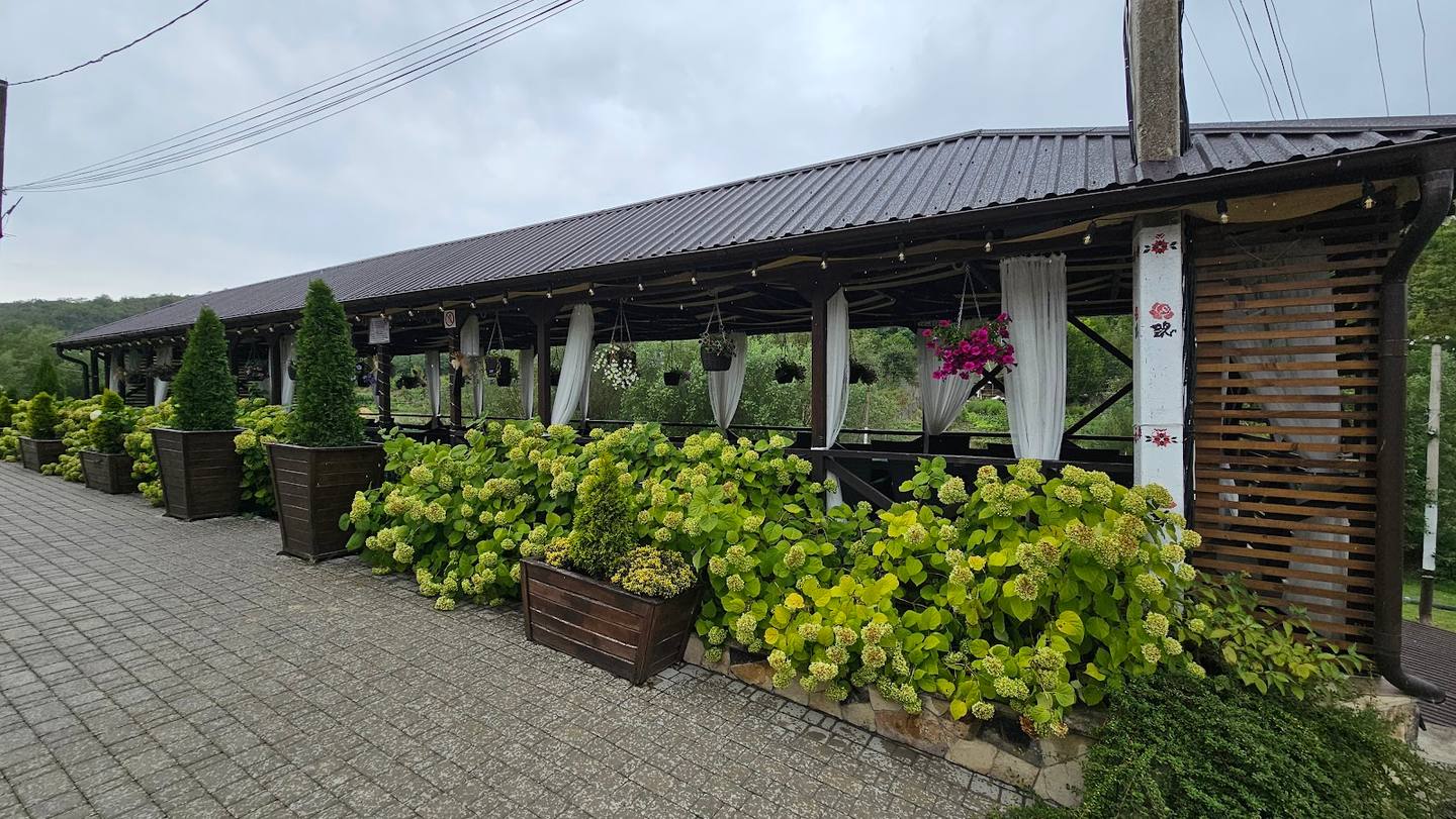 Rustic outdoor terrace with timber and metal construction, landscaped with flowering shrubs
