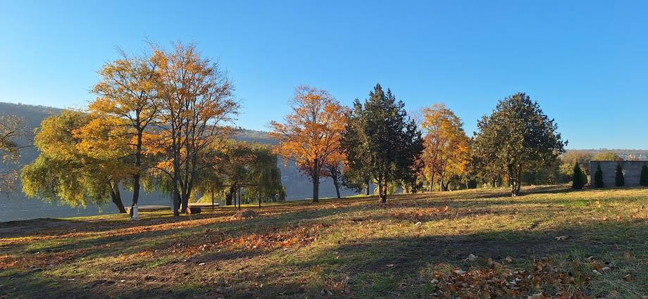 Autumn landscape with scattered trees and open grounds near water