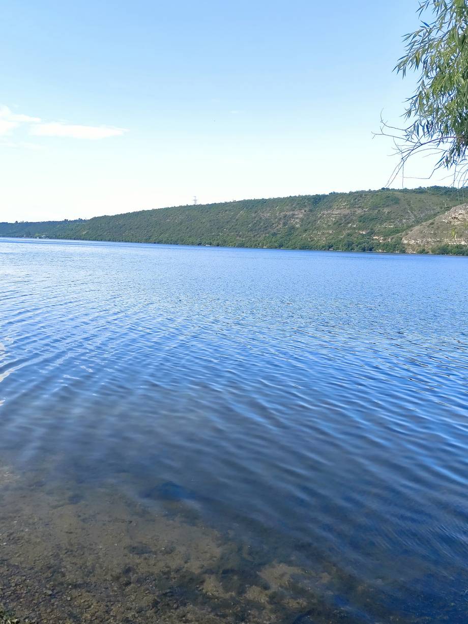 Clear blue water with forested shoreline and willow branch in foreground