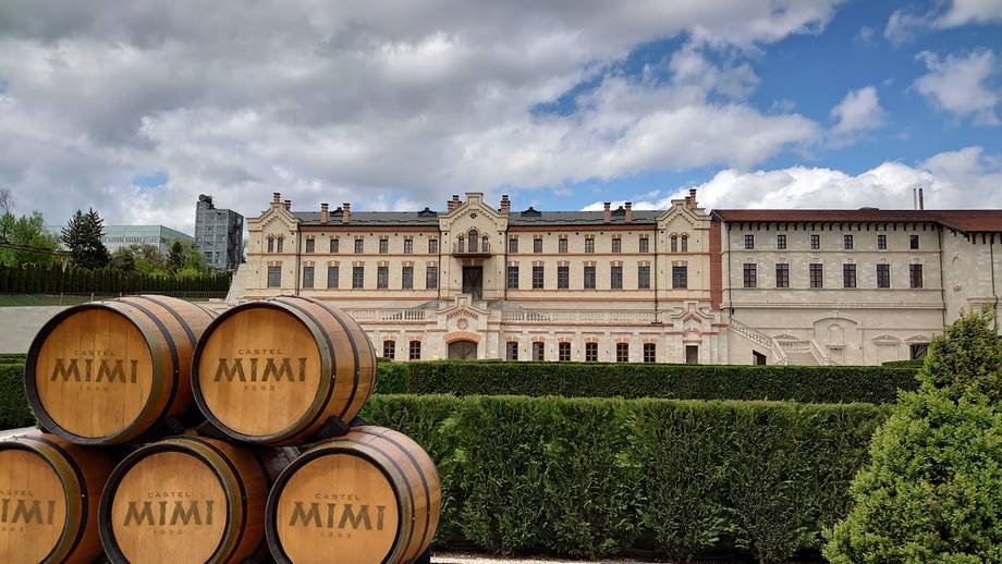 Castel Mimi - Premium wine estates in Bulboaca (photo 5)