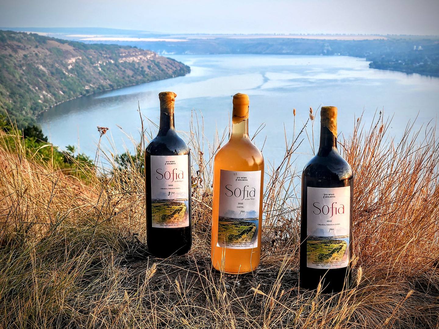 Eco Wine of Moldova - Crame boutique în Molovata Nouă (foto 1)