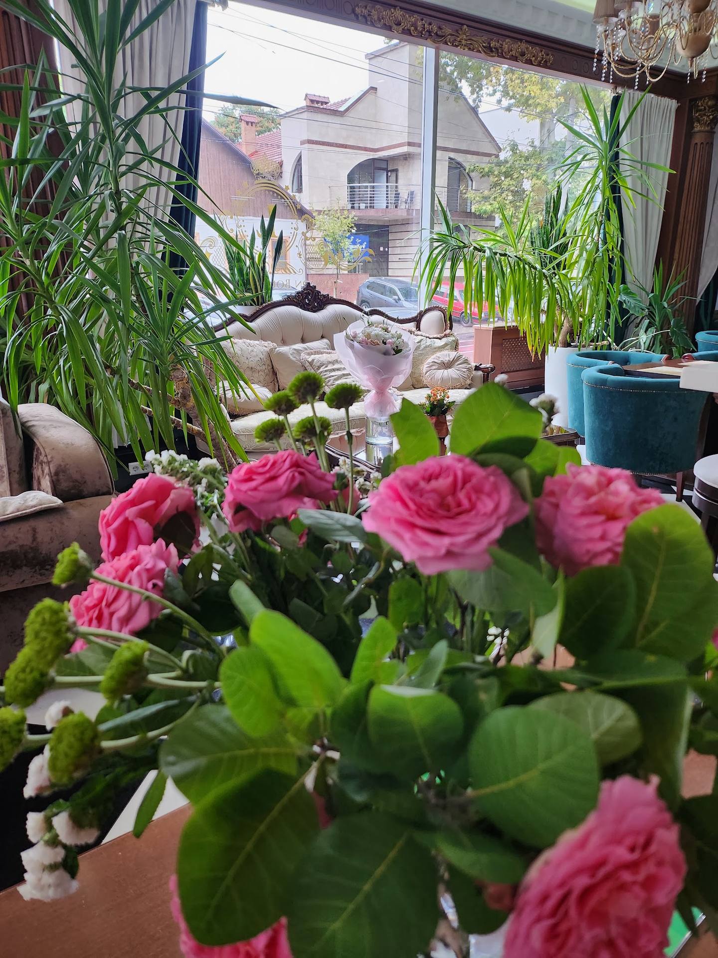 Pink roses with plants and terrace view through windows