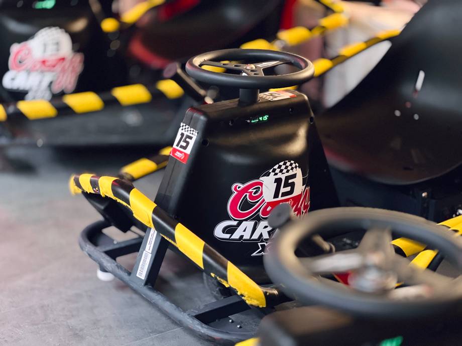 Drift Cart - Karting in Botanica (photo 5)
