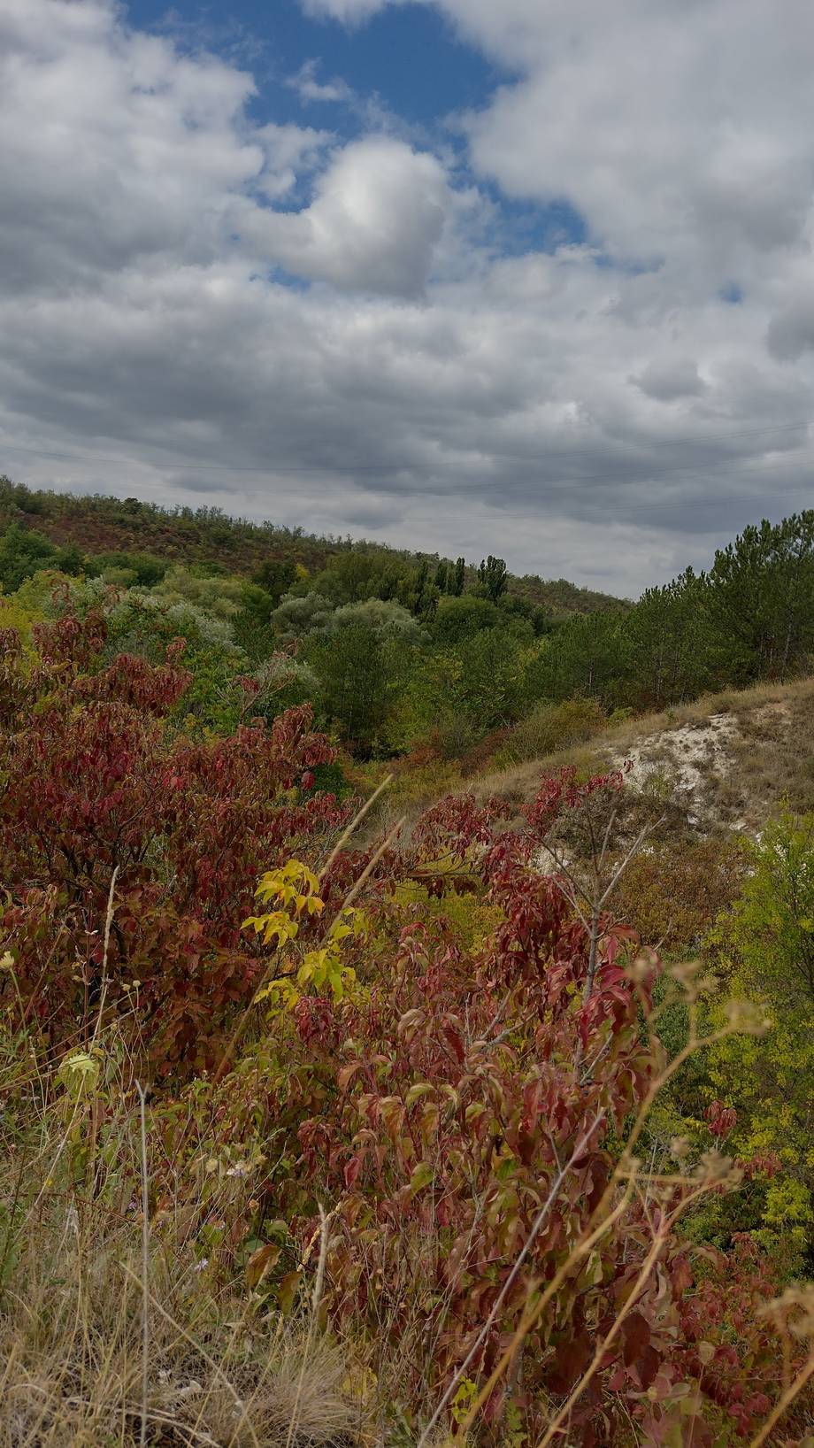 Rezervația Iagorlîc - Birdwatching în Doibani (foto 2)