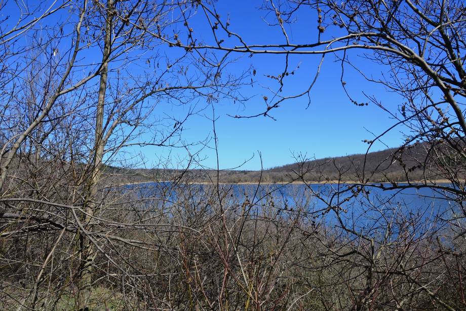 Rezervația Iagorlîc - Birdwatching în Doibani (foto 5)