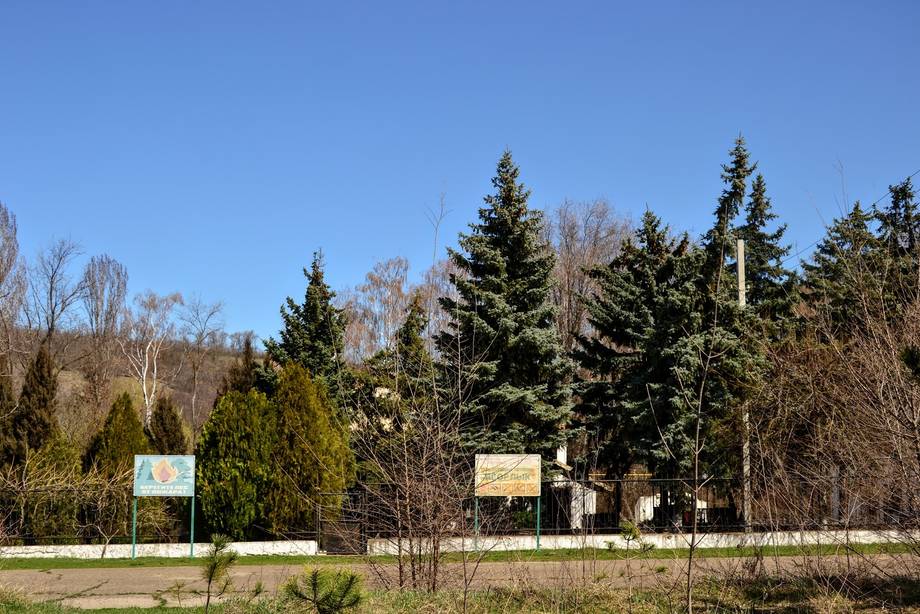 Rezervația Iagorlîc - Birdwatching în Doibani (foto 6)