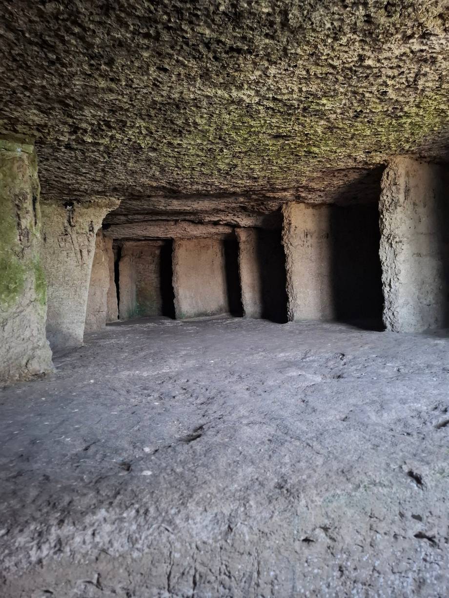 Underground stone cellar with vaulted ceiling and carved columns