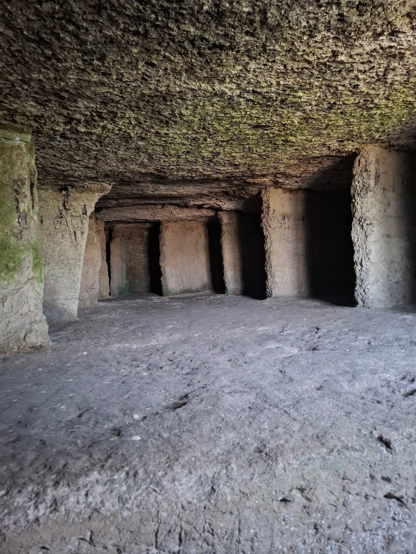 Underground stone cellar with vaulted ceiling and carved columns