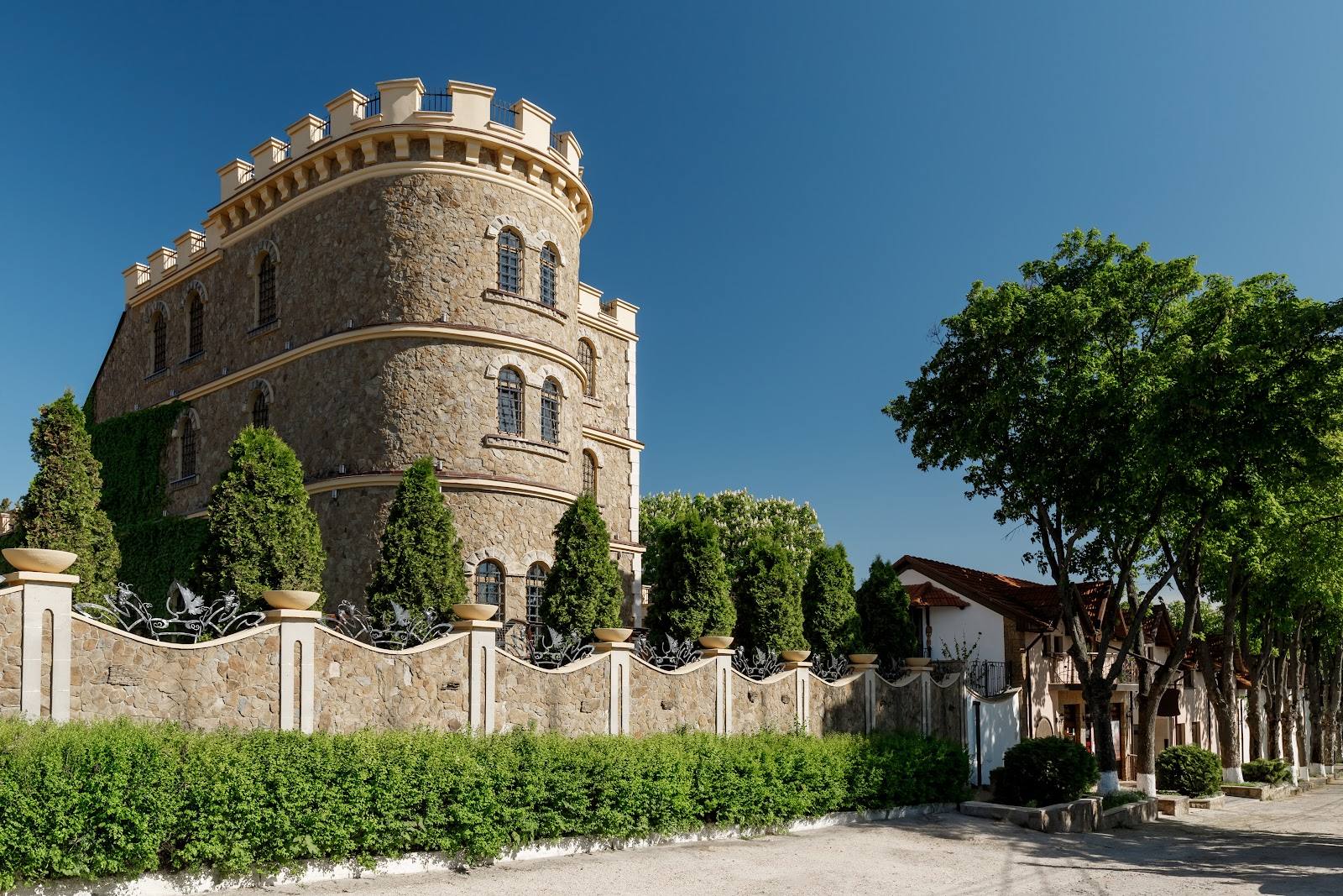 Chateau Cojusna (Migdal-P) - Boutique wineries in Cojușna (photo 3)