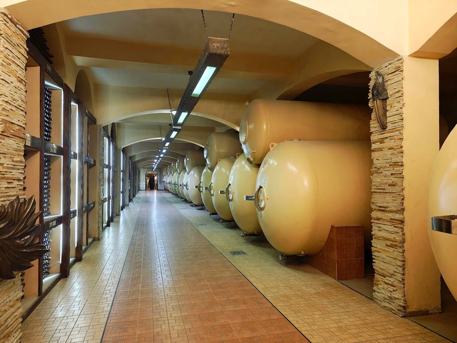 Chateau Cojusna (Migdal-P) - Boutique wineries in Cojușna (photo 5)