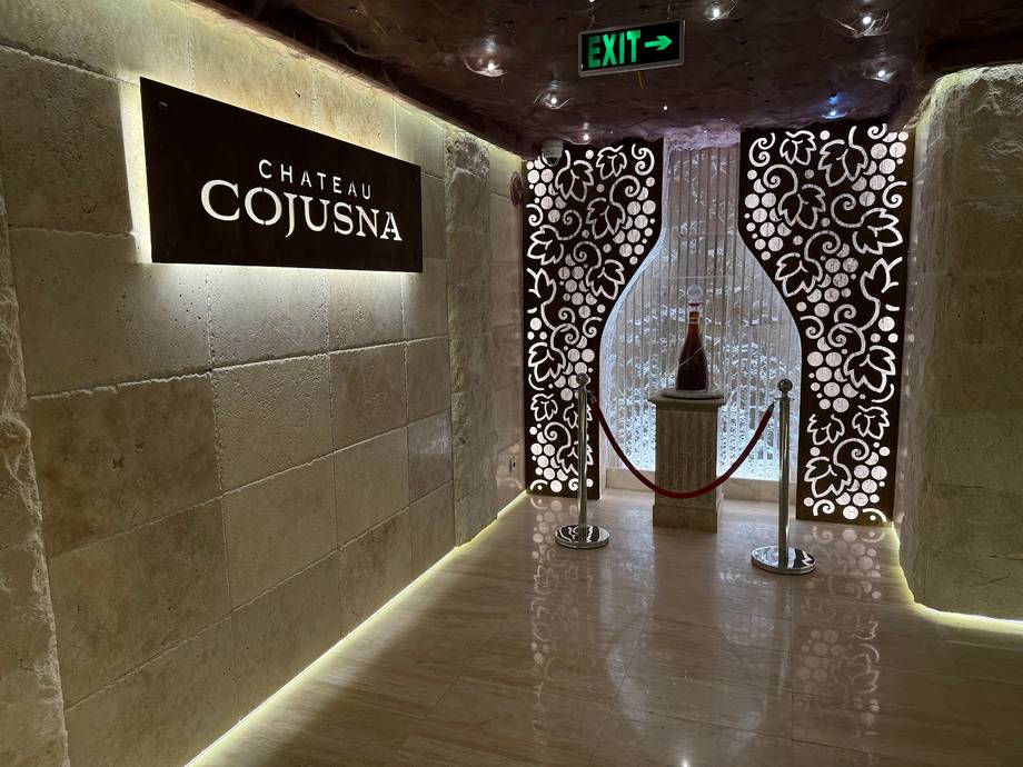 Chateau Cojusna (Migdal-P) - Boutique wineries in Cojușna (photo 6)