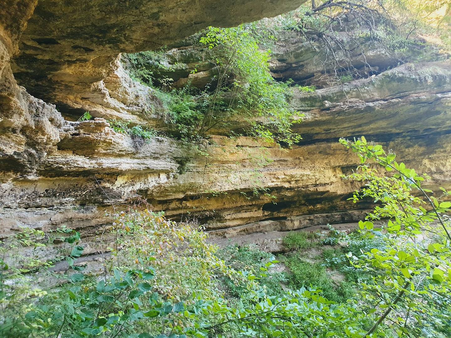 Natural cave grotto with layered stone formations and lush vegetation overgrowth