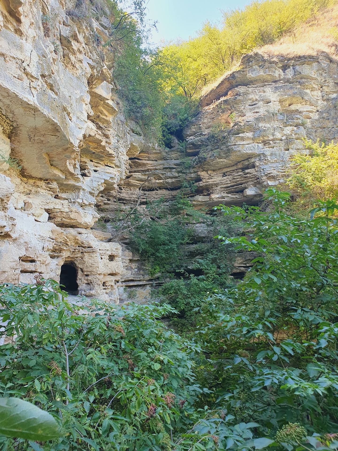 Medieval stone fortress structure carved into cliff face with vegetation