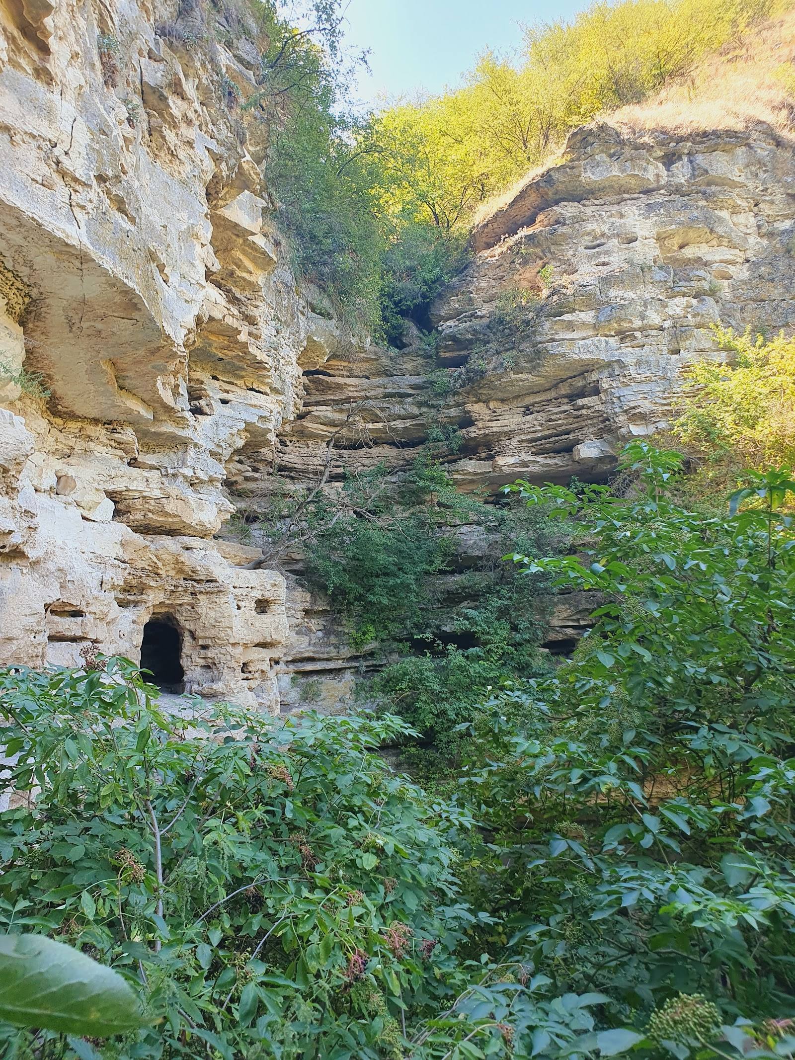 Medieval stone fortress structure carved into cliff face with vegetation