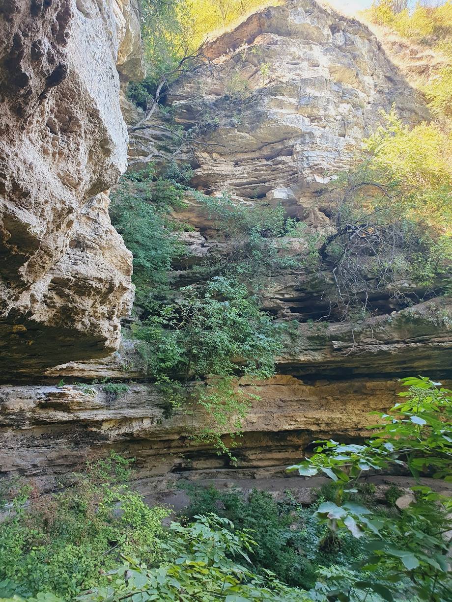 Natural limestone cave opening with lush vegetation and stream in a gorge setting