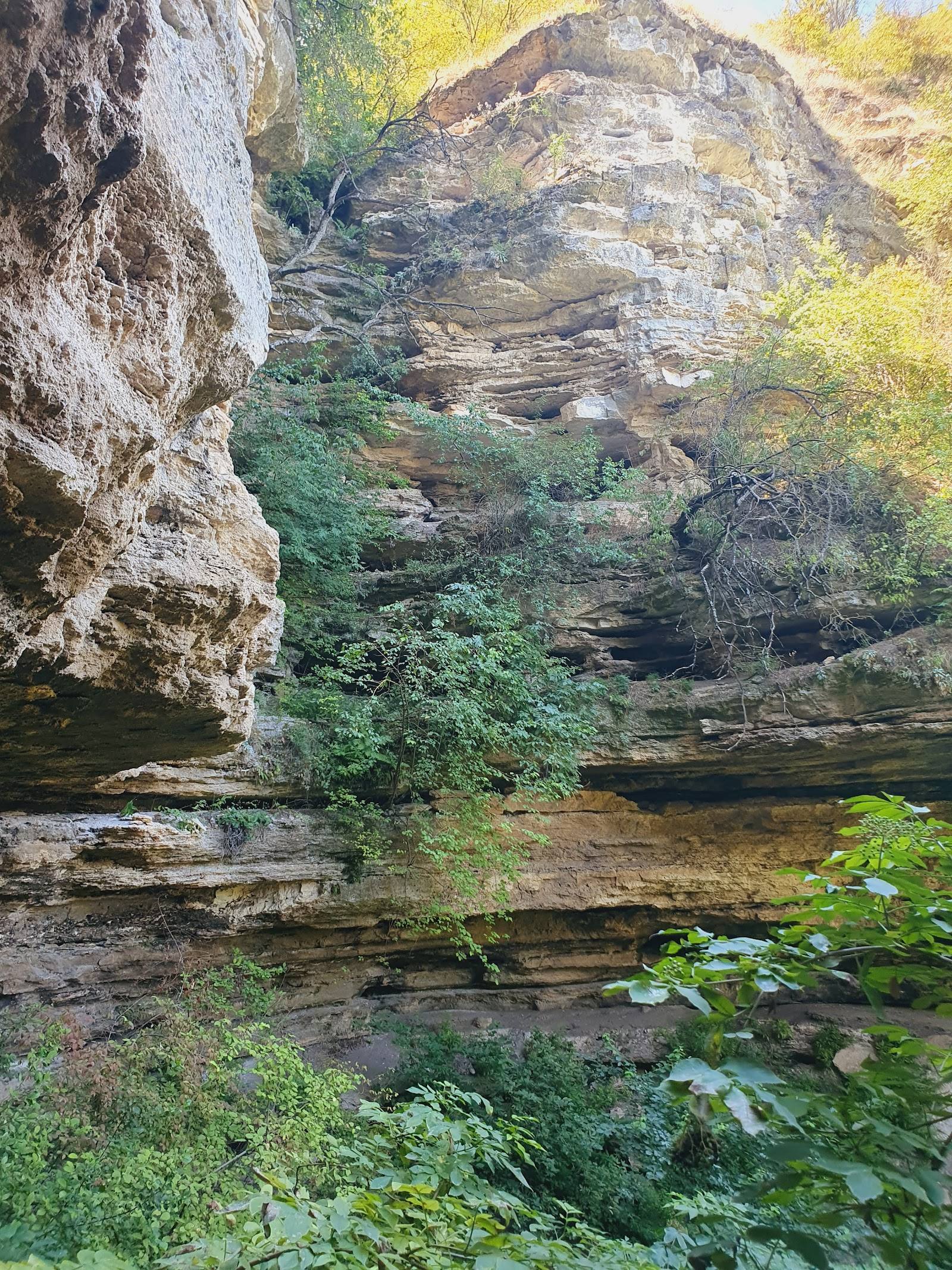 Natural limestone cave opening with lush vegetation and stream in a gorge setting