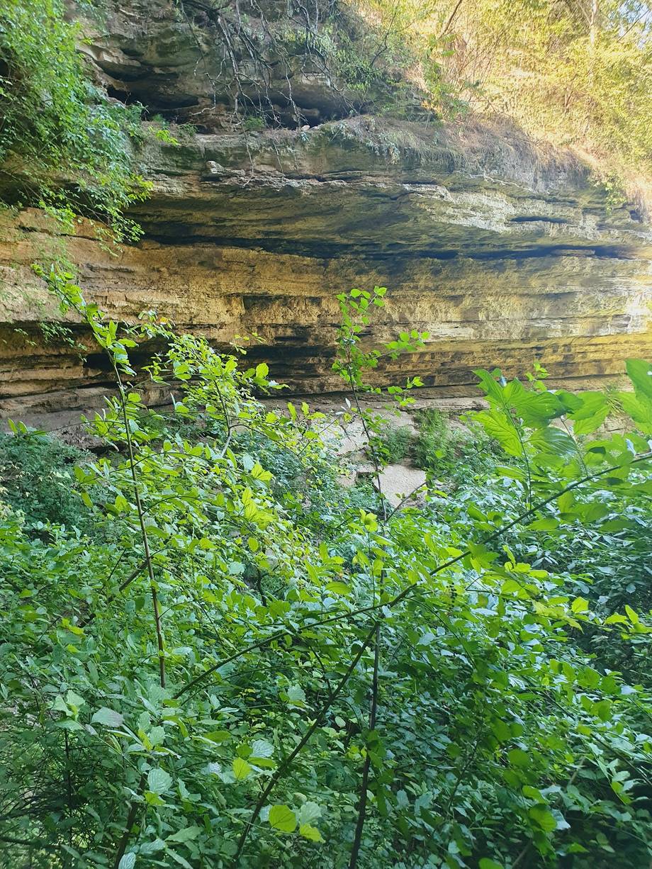 Rocky cliff face with layered stone formations and lush green vegetation