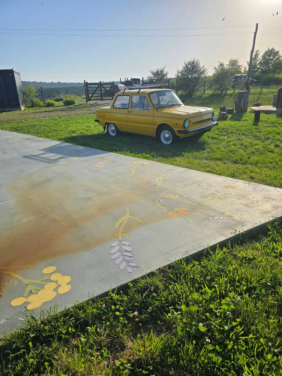 Vintage yellow Lada parked in rural outdoor setting with puddle foreground