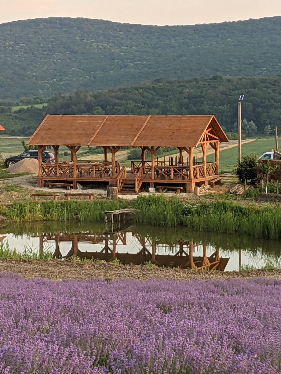 Rustic wooden pavilion overlooking lavender fields and water feature with mountain backdrop