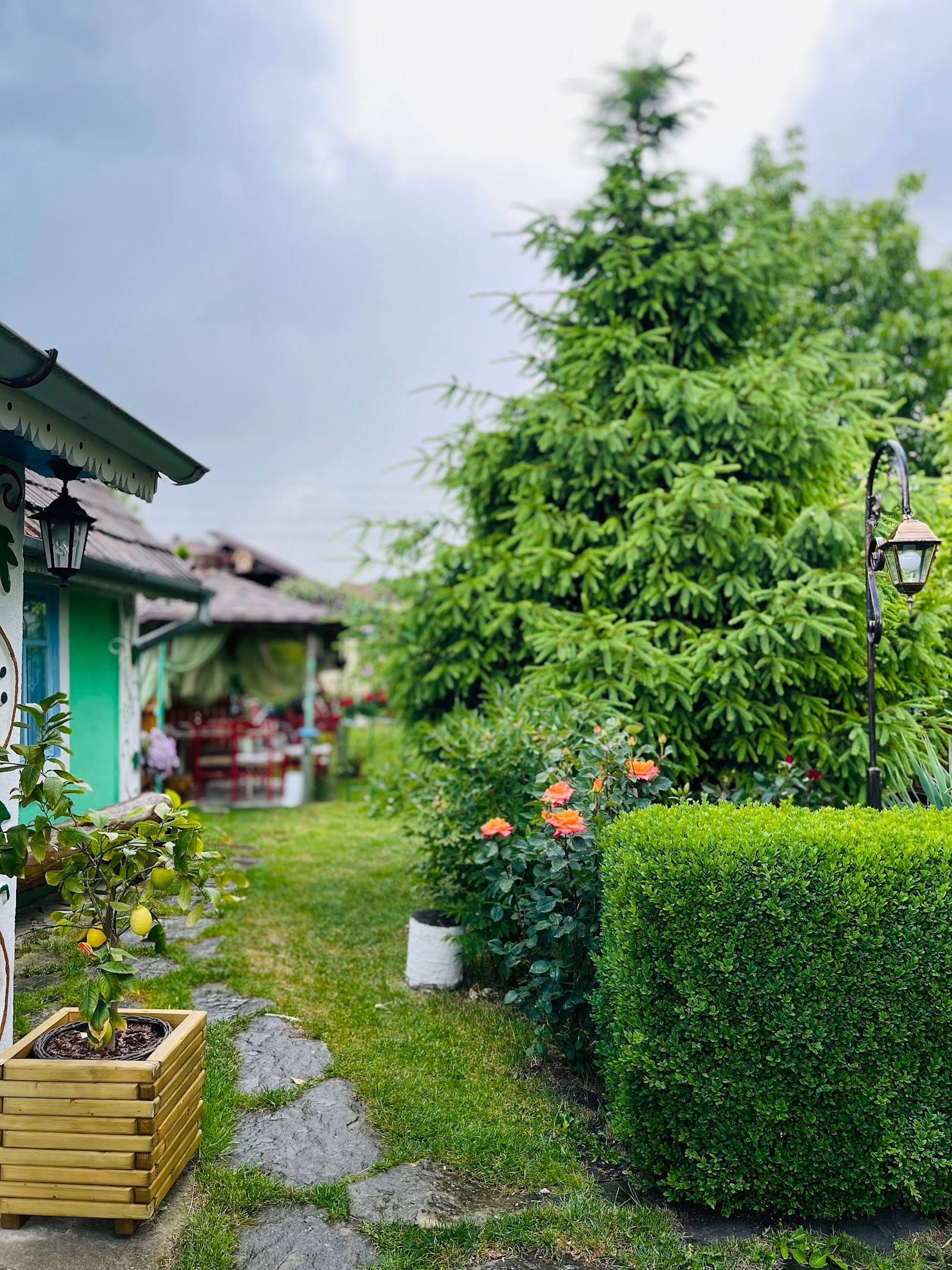 Garden terrace with green cottage, hedges, and flowering plants in daytime setting