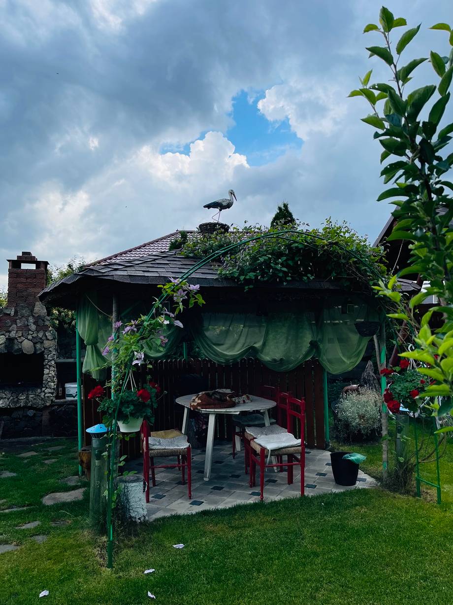 Outdoor terrace with green canopy-covered seating area and rustic wooden tables