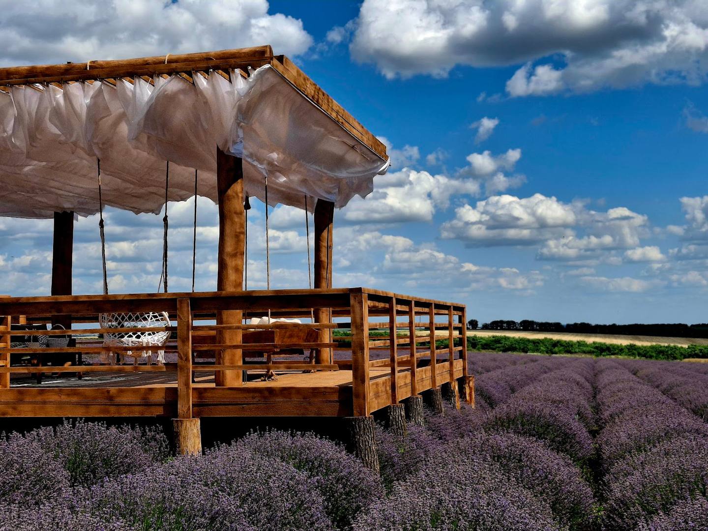 Lavender field with traditional wooden structure and clear sky in Moldova countryside
