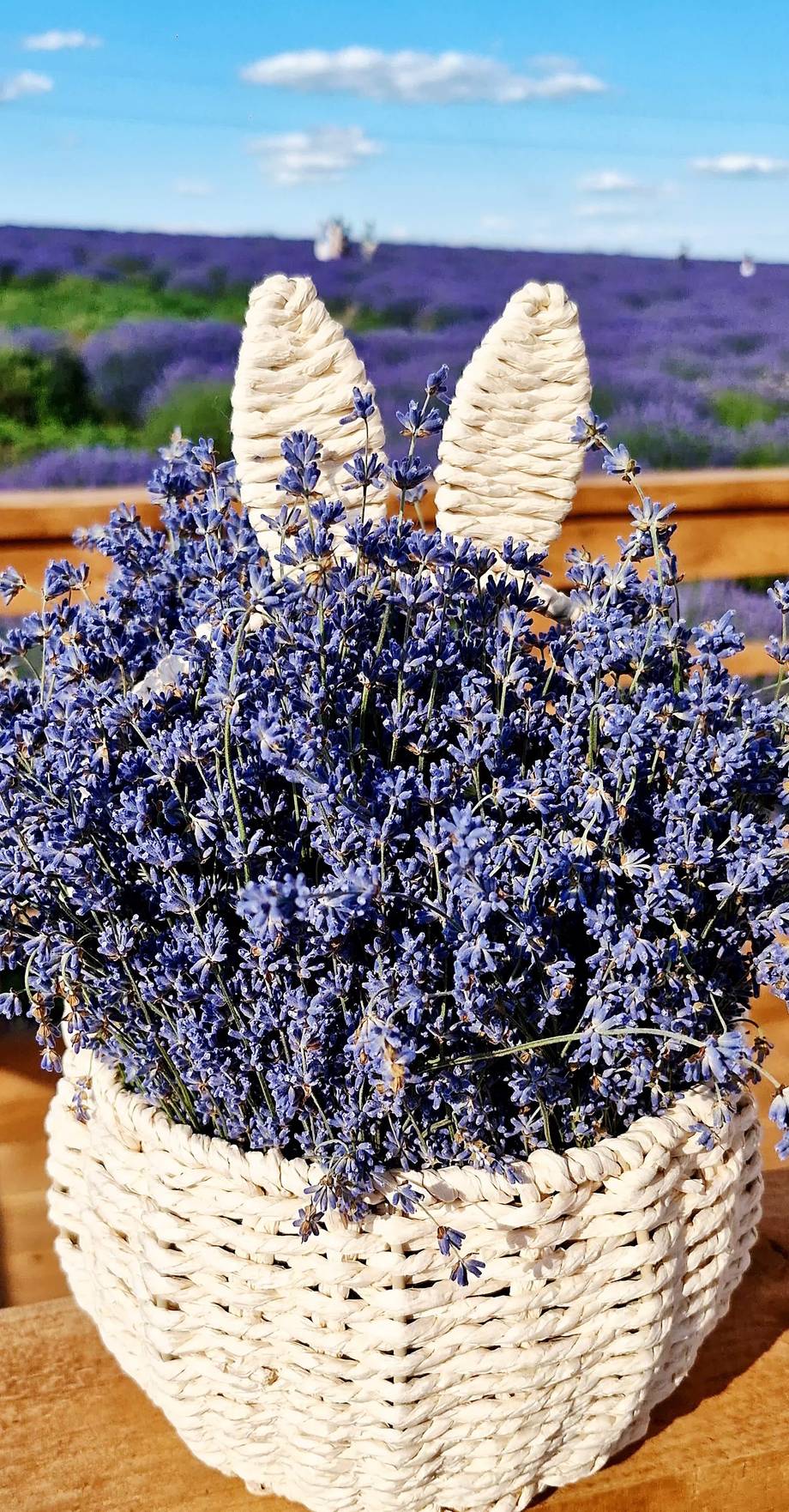 Dried lavender bouquets in woven baskets with vineyard backdrop