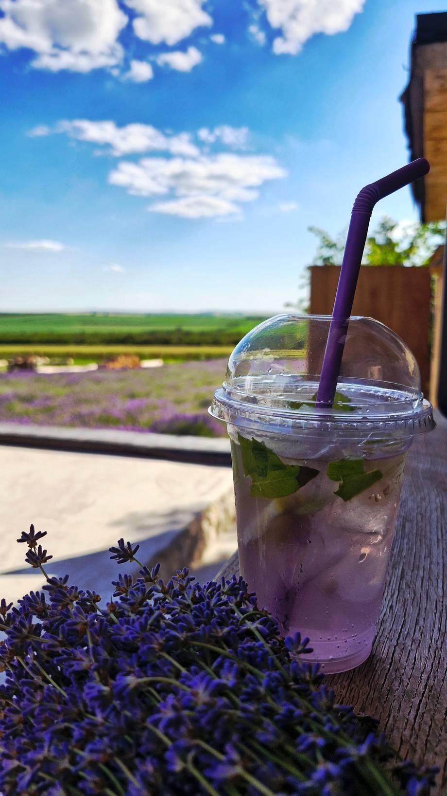 Lavender-infused drink with scenic field view