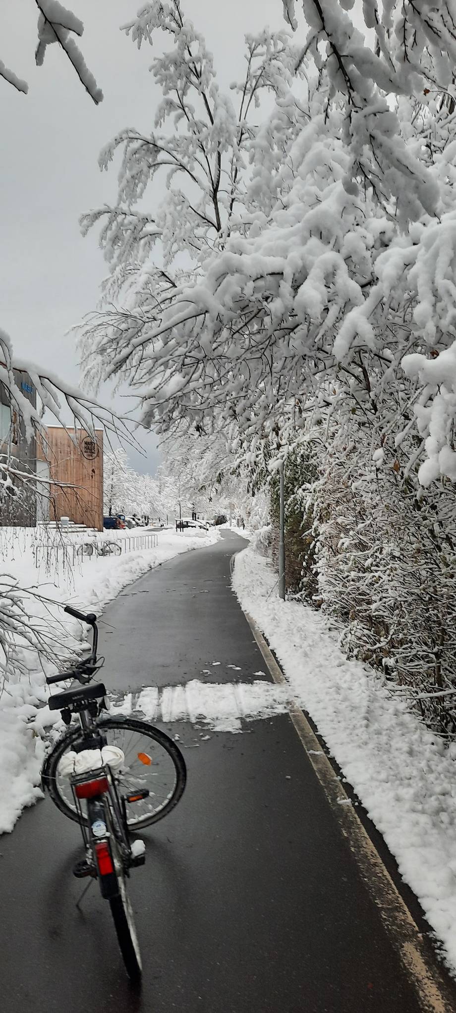 Snow-covered pathway with frost-laden trees and bicycle, monastery visible in background