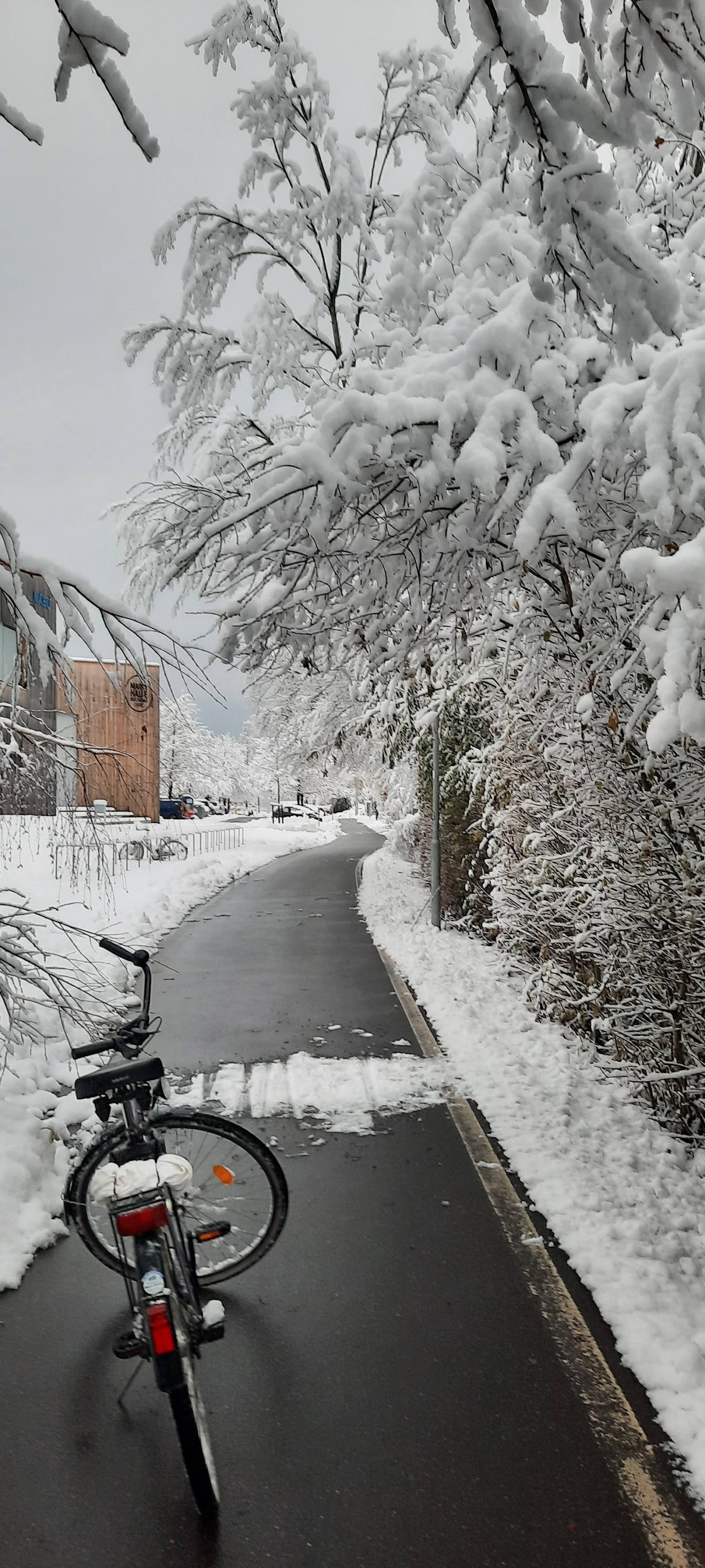 Snow-covered pathway with frost-laden trees and bicycle, monastery visible in background