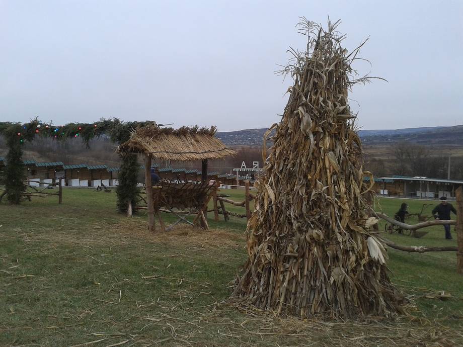 Vatra - Rural guesthouse in Vatra (photo 4)