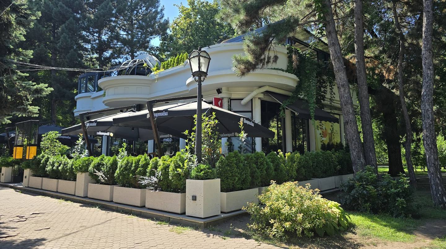 Modern café exterior with contemporary storefront, green landscaping, and shaded terrace area