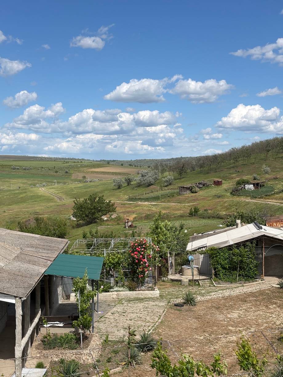 Rural winery estate with vineyard rows, rolling hills, and farm buildings in Moldova landscape