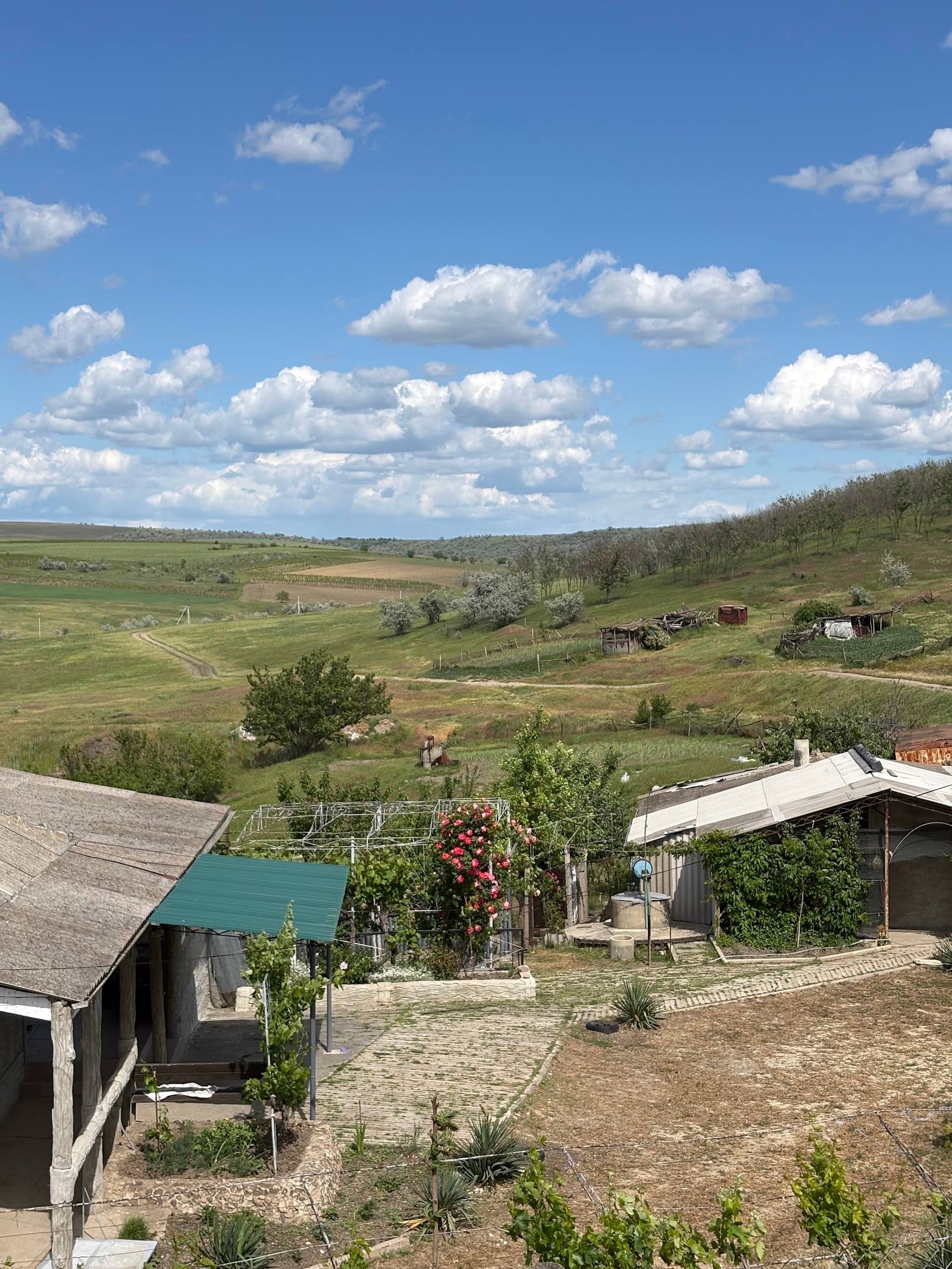 Rural winery estate with vineyard rows, rolling hills, and farm buildings in Moldova landscape