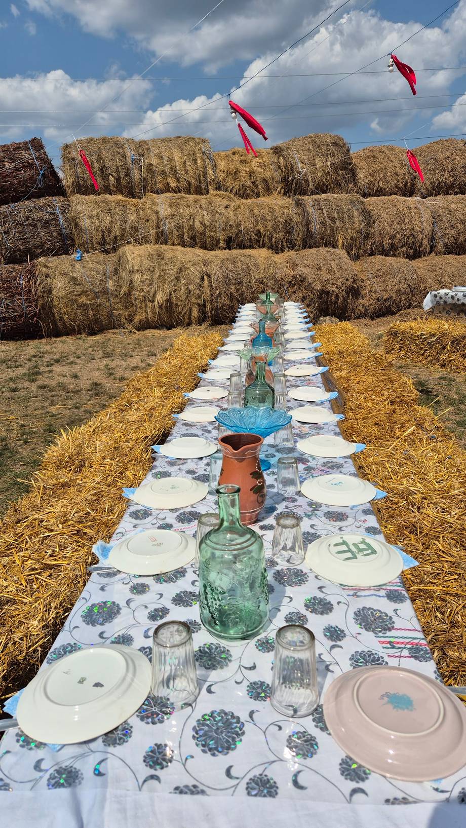 Ferma OVIDA - Fermă pentru familii în Breanova (foto 3)