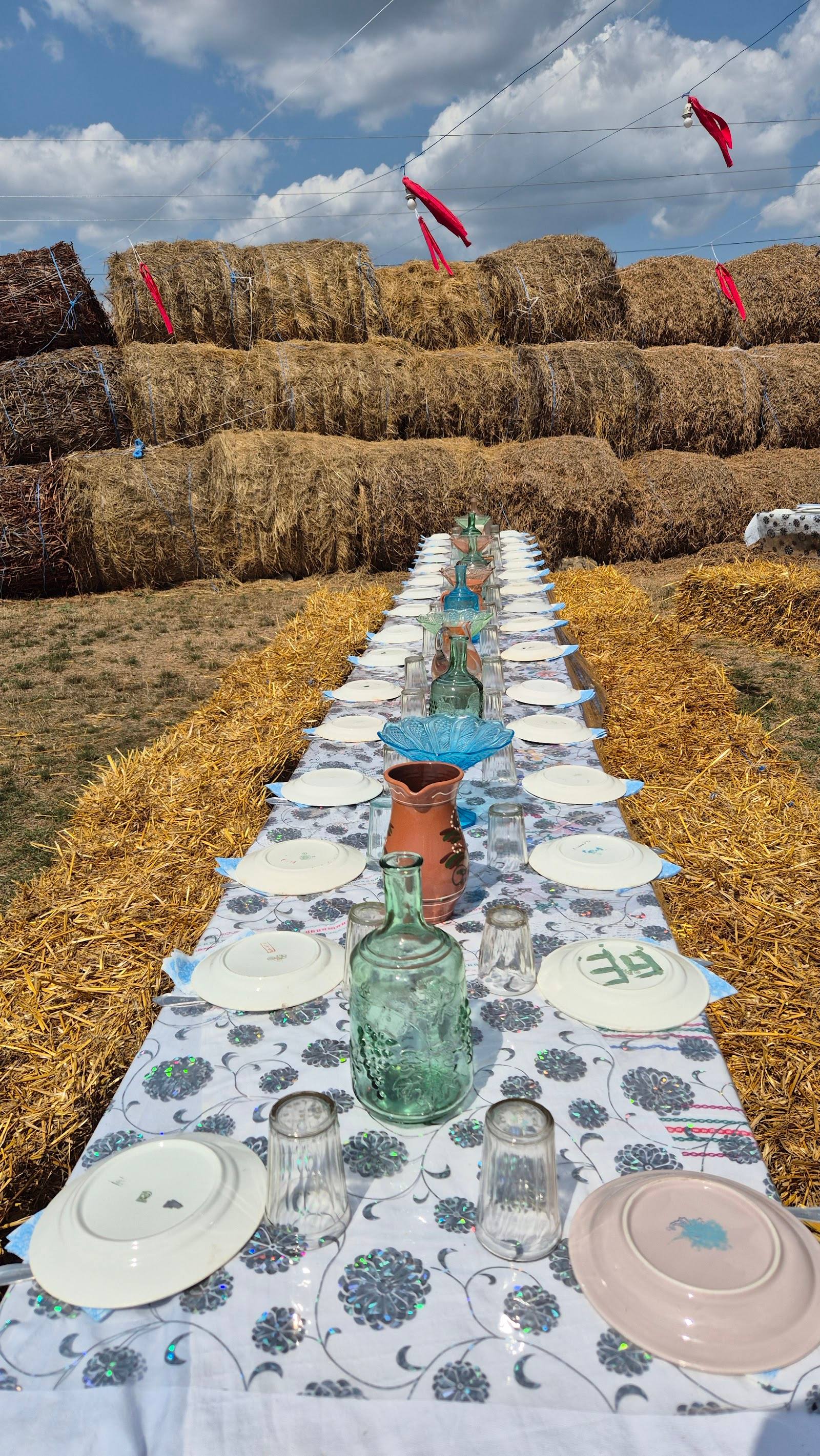 Ferma OVIDA - Fermă pentru familii în Breanova (foto 3)