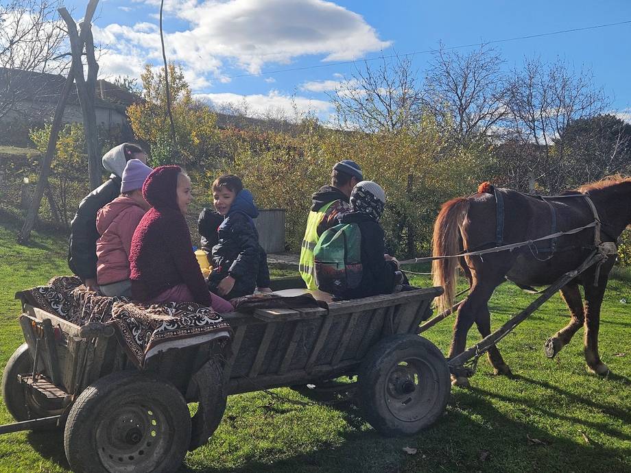 Ferma OVIDA - Fermă pentru familii în Breanova (foto 4)
