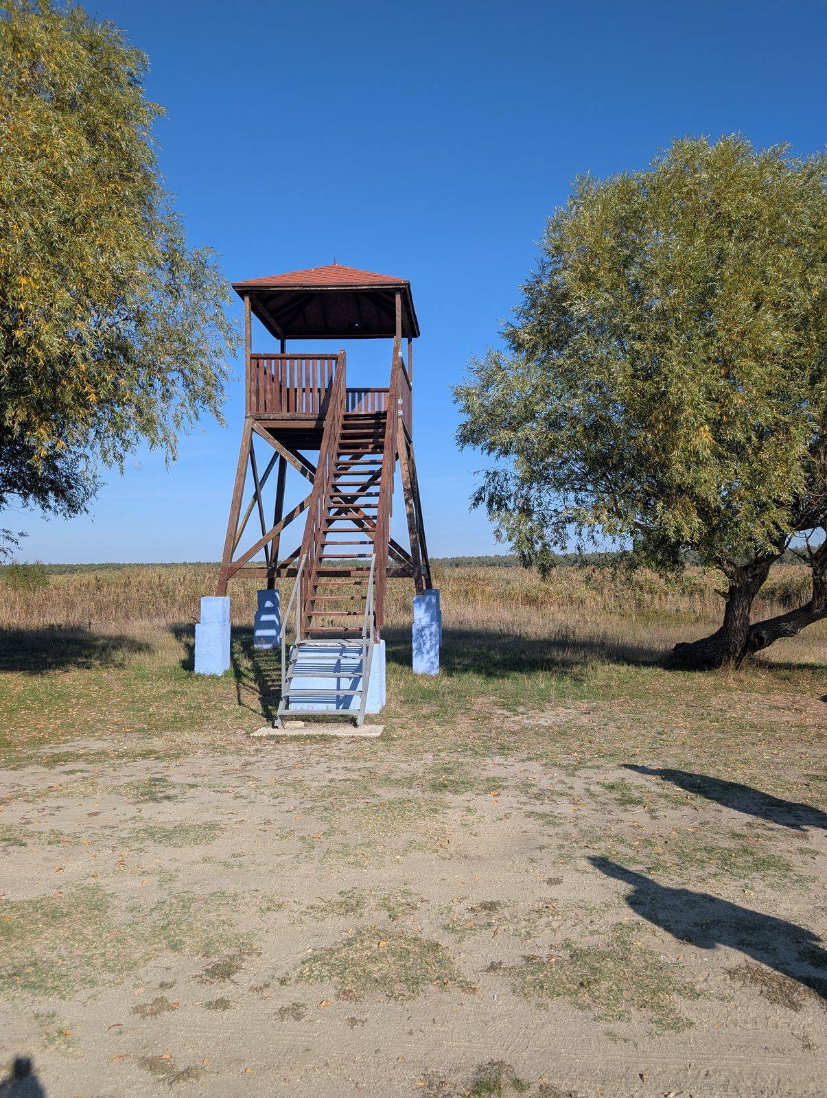 Turnul de Observare a Păsărilor · Slobozia Mare - Birdwatching în Slobozia Mare (foto 1)