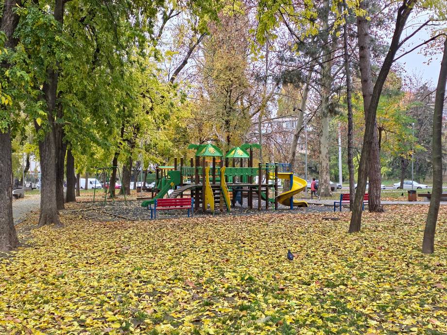 Public park playground surrounded by tall trees and autumn leaves