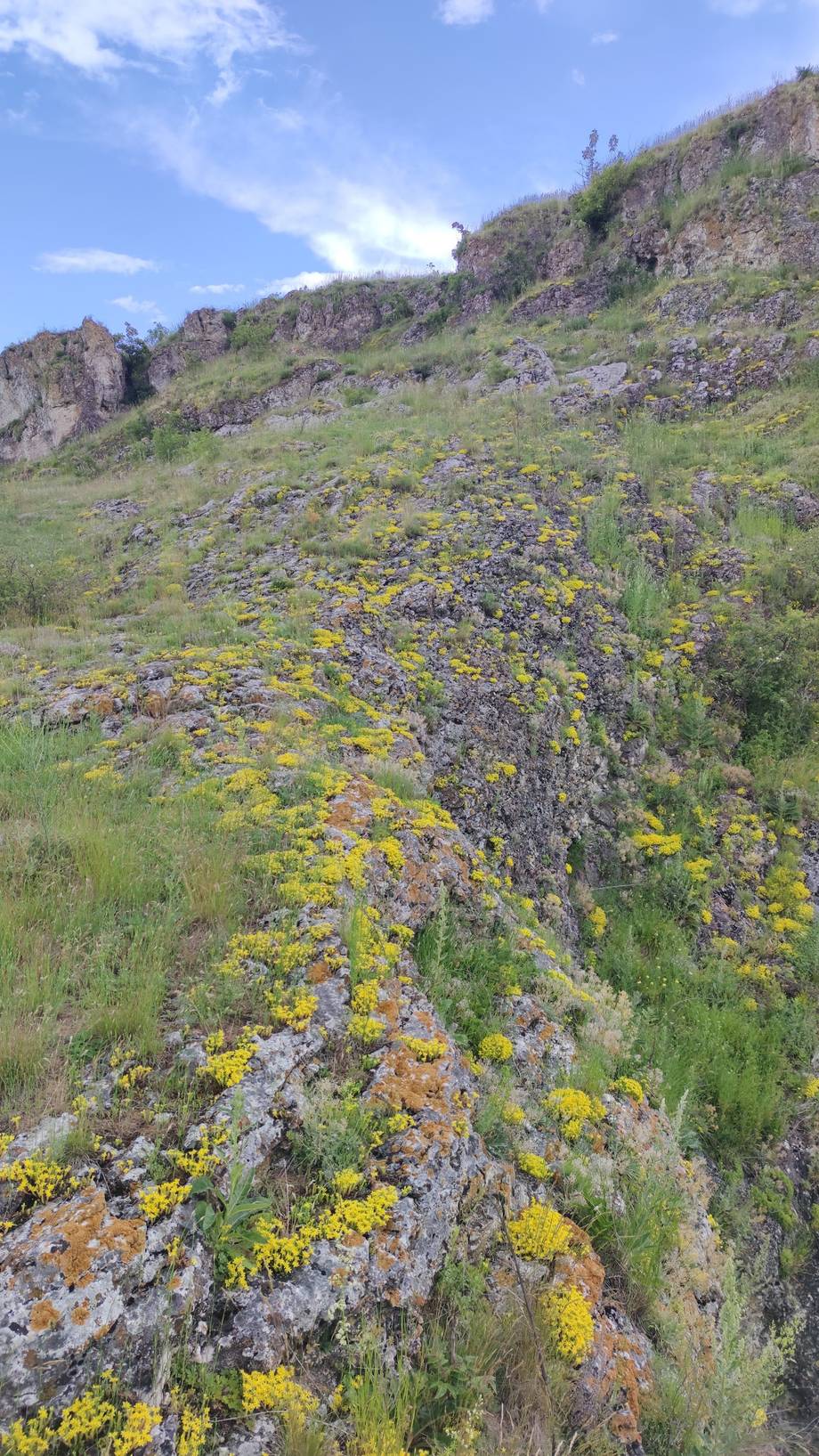 Duruita Camping - Camping în Duruitoarea (foto 8)