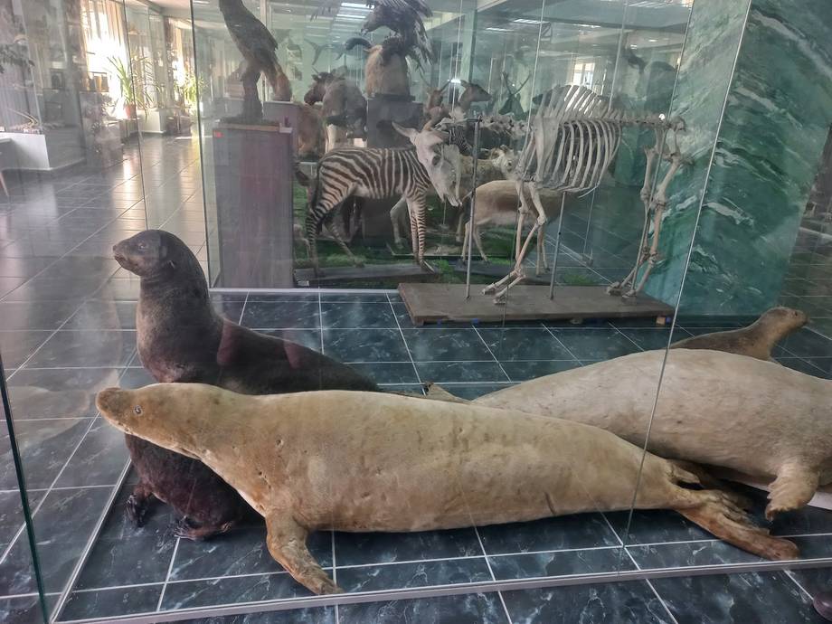 Muzeul Universității de Stat din Moldova - Muzeu de istorie în Centru (foto 7)