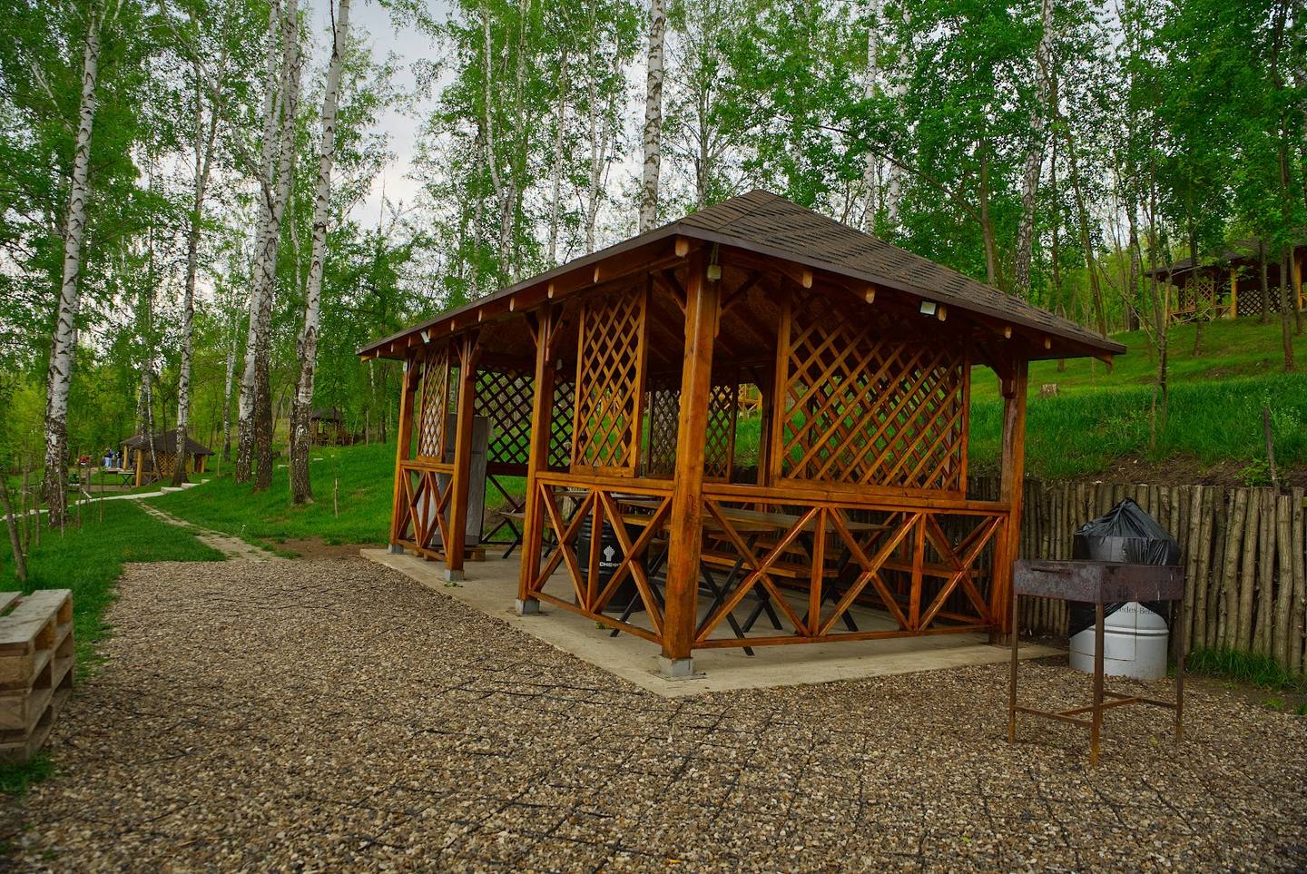 Wooden gazebo with lattice railings in birch forest setting