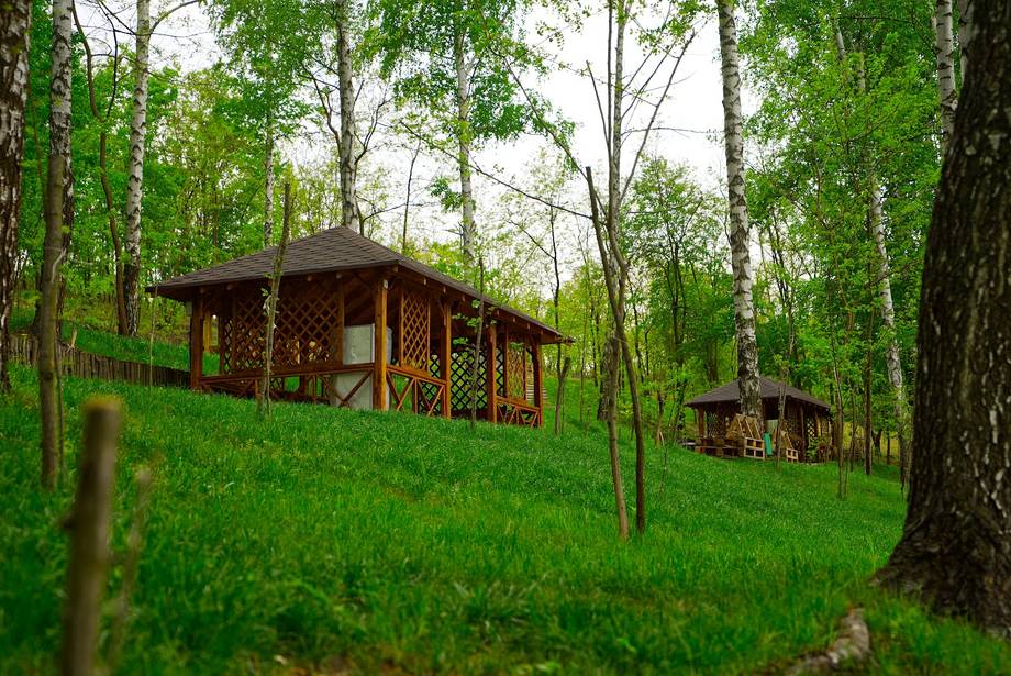 Wooden lodge nestled in lush forest clearing with manicured grounds