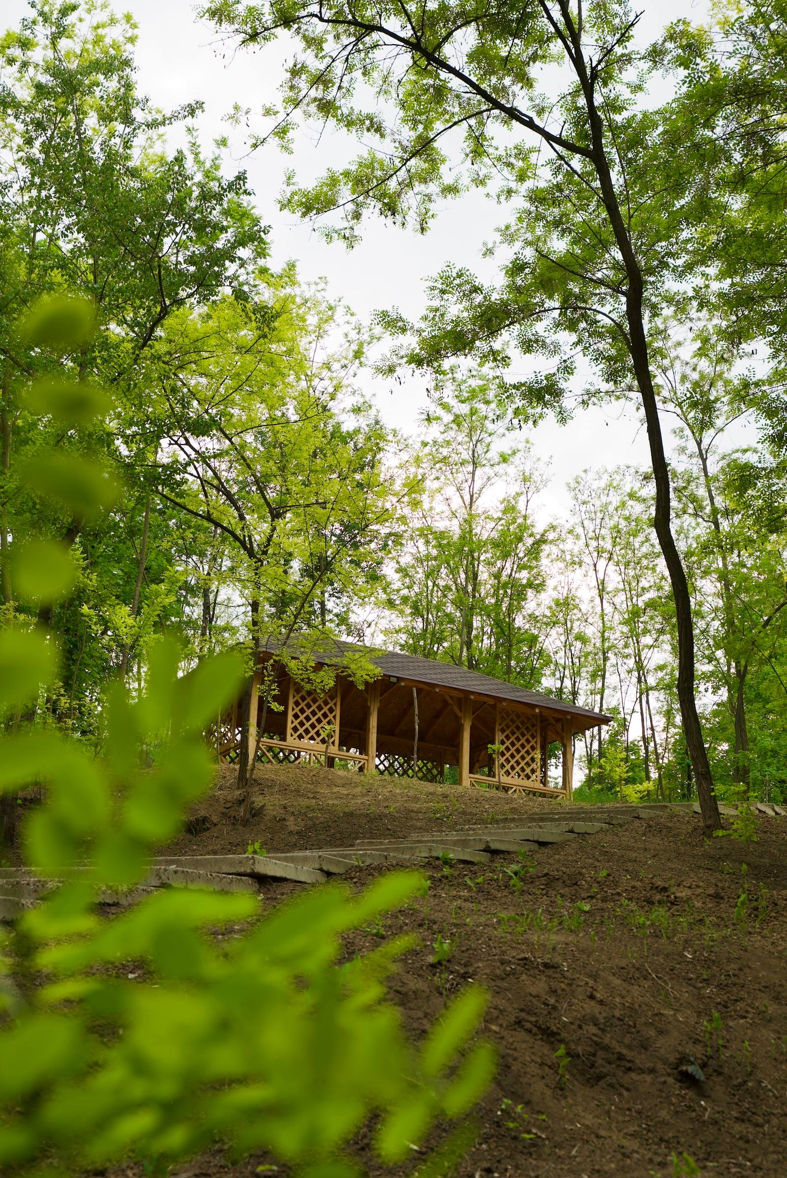 Wooden pavilion nestled in mature forest setting with natural canopy