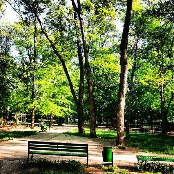Tree-lined park with benches and verdant landscaping