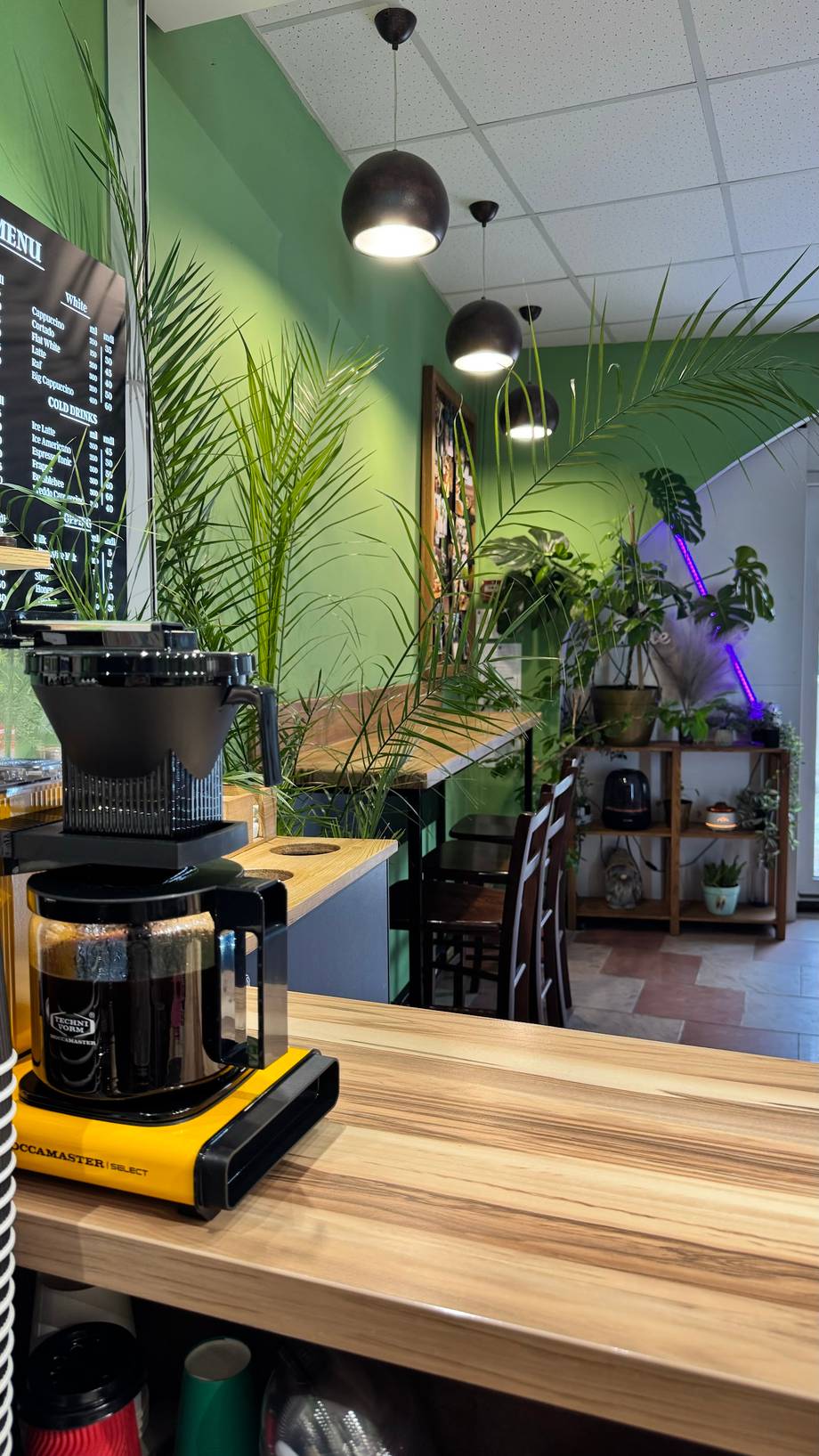 Modern café interior with green accent wall, potted plants, and espresso machine at counter