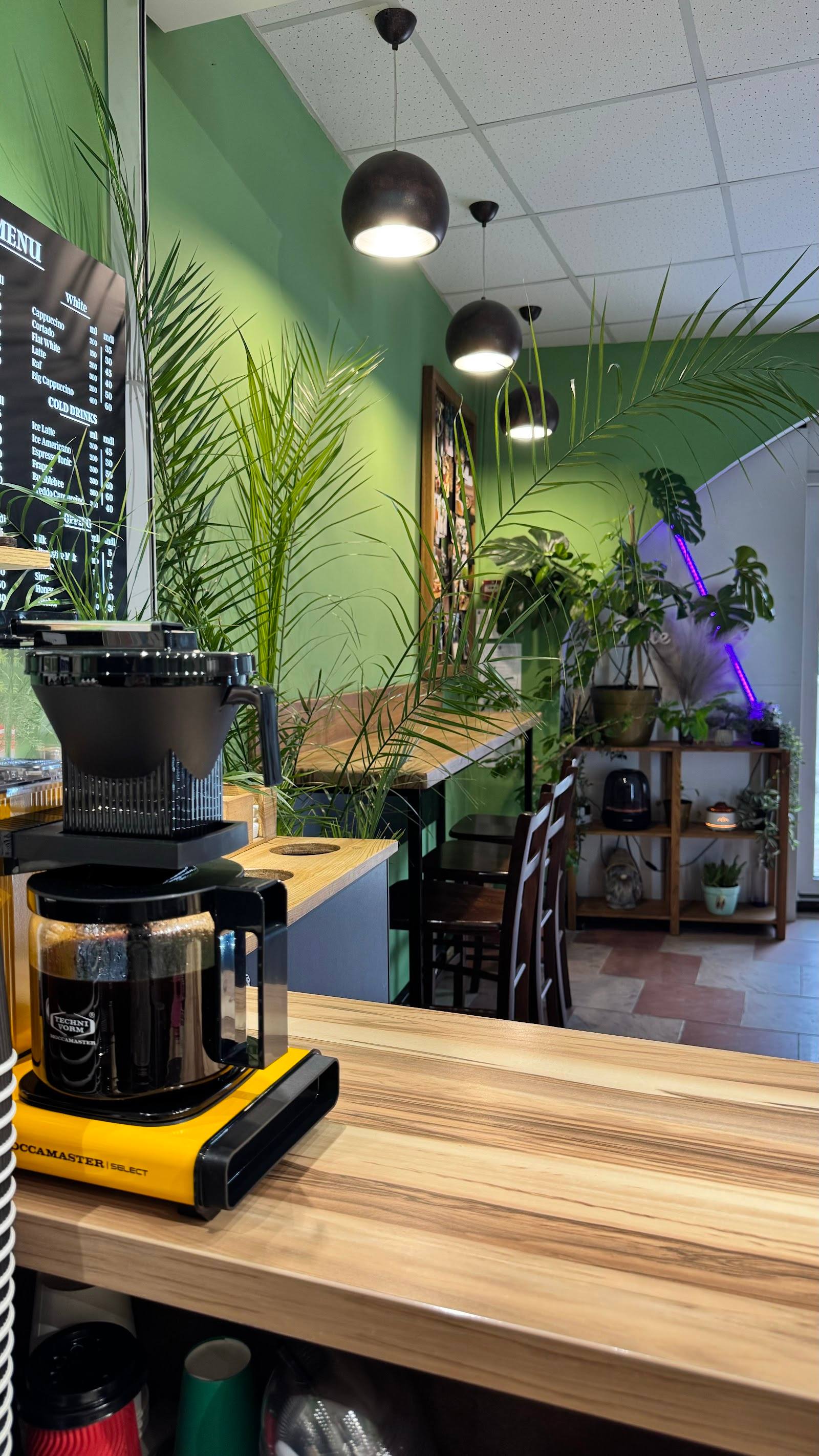 Modern café interior with green accent wall, potted plants, and espresso machine at counter