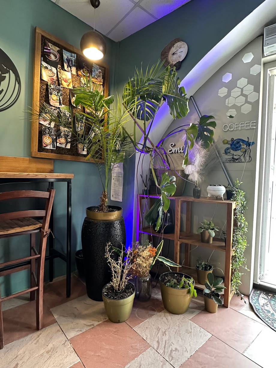 Modern cafe interior with ambient purple mood lighting, potted plants, and casual seating